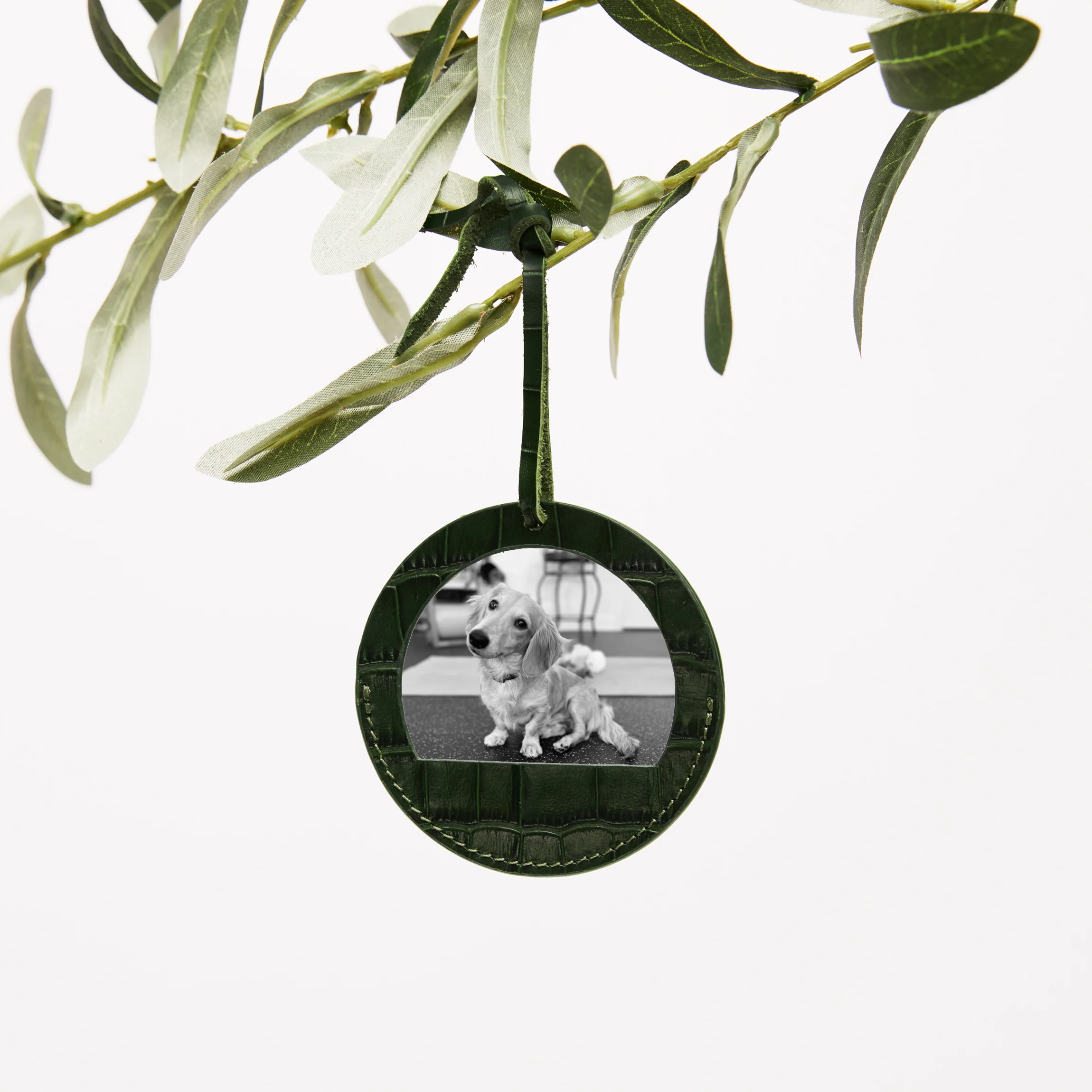 Round Photo Frame Ornament Forest Croc - Image 2